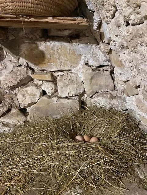 Maison De Campagne De 1787 Roquesteron Γαλλία